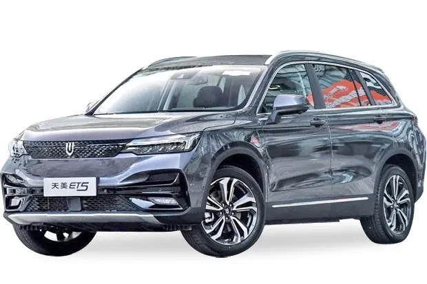 Skywell pro GT (2025)